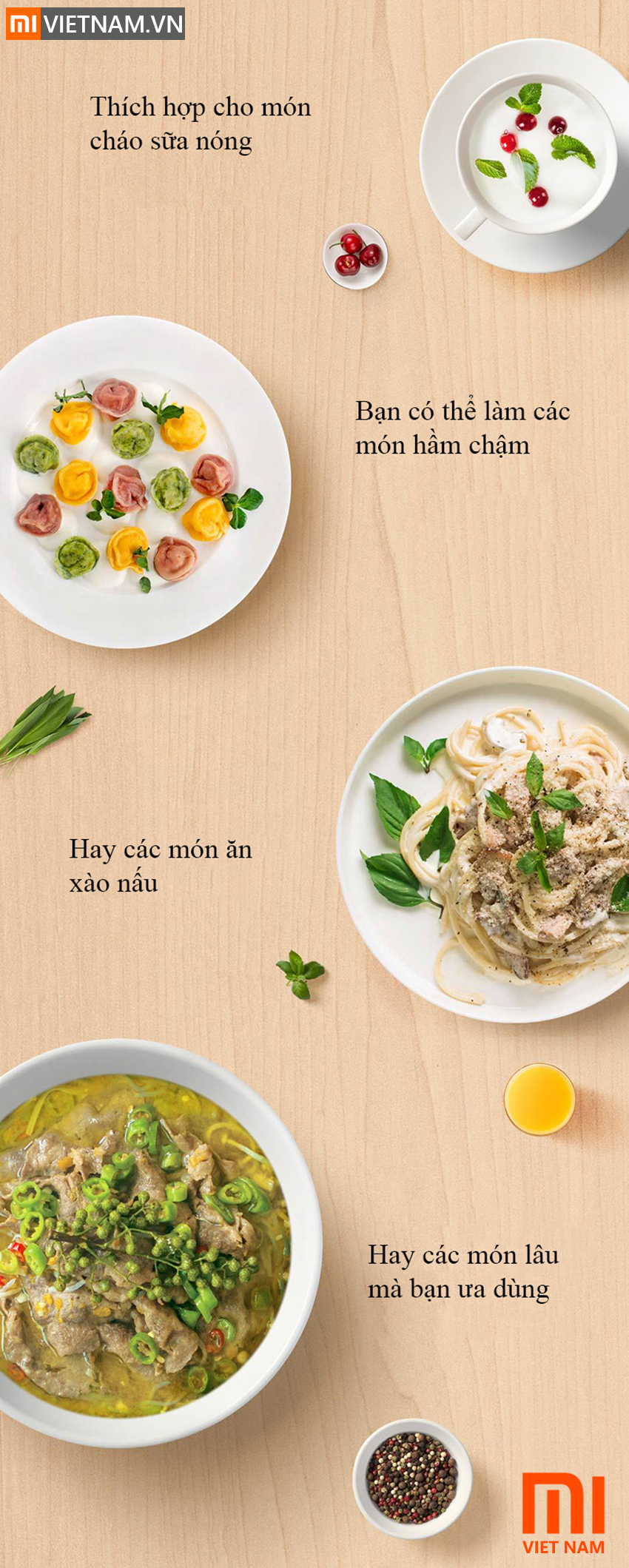 MIVIETNAM-BEP-DIEN-TU-XIAOMI-MIJIA-DCL002CM