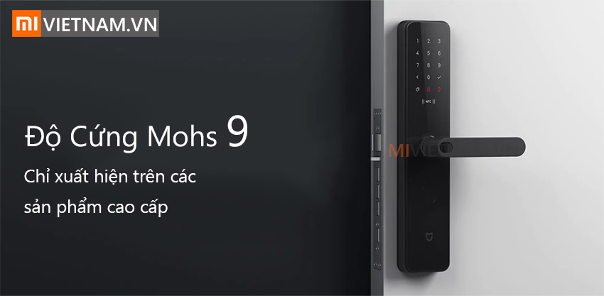 mivietnam khoacuanfc 07 1