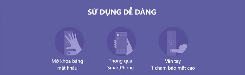 mivietnam khoacuanfc 11