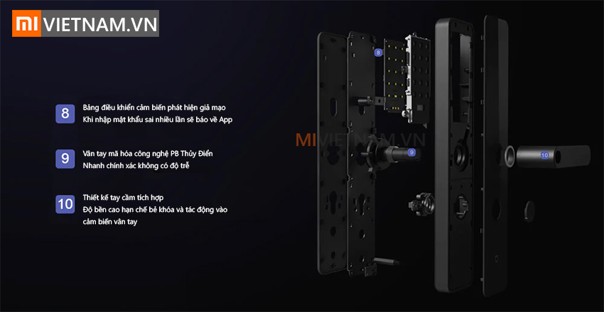 mivietnam khoacuanfc 10 1