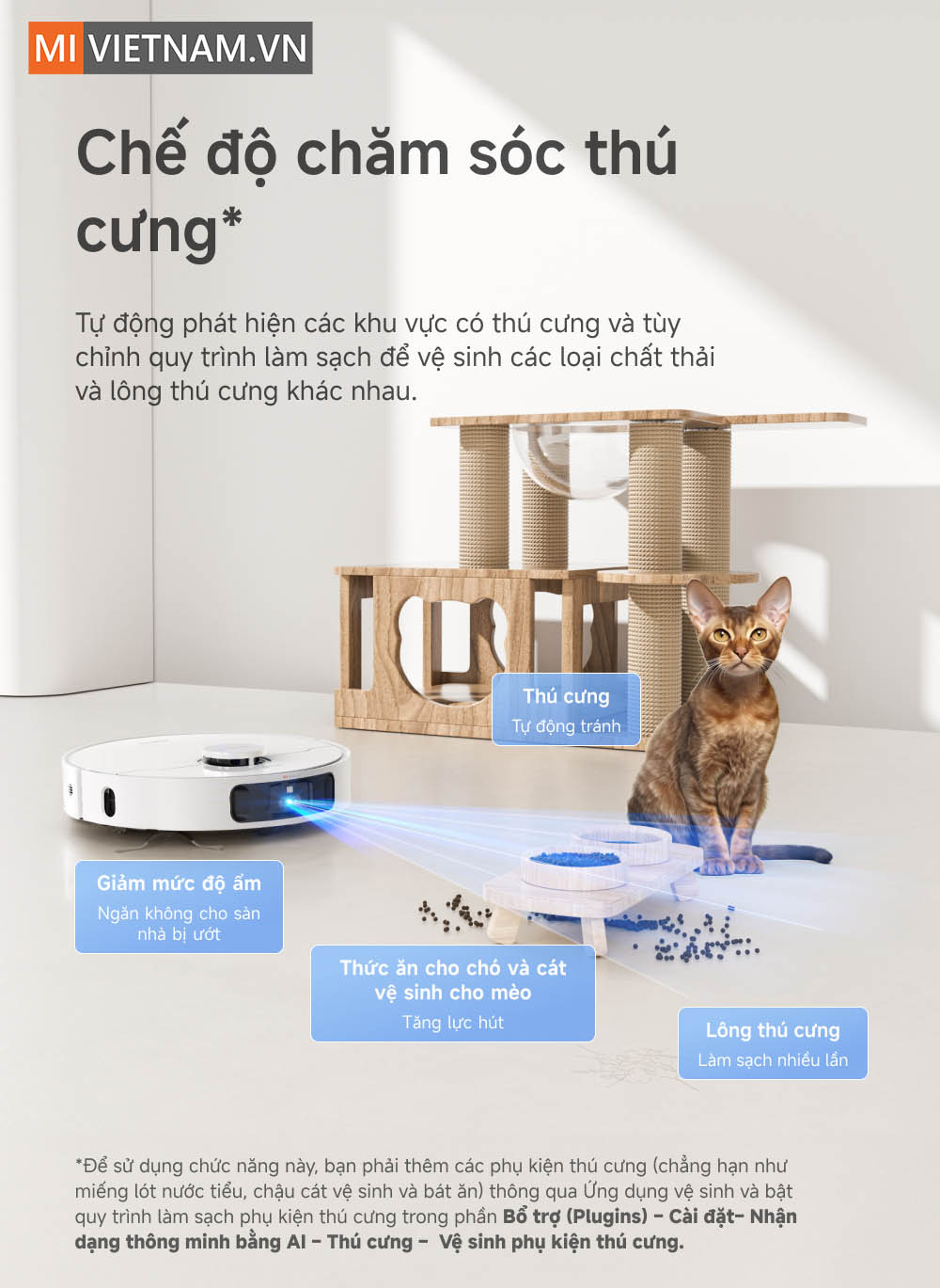 Chế độ chăm s&oacute;c th&uacute; cưng đặc biệt