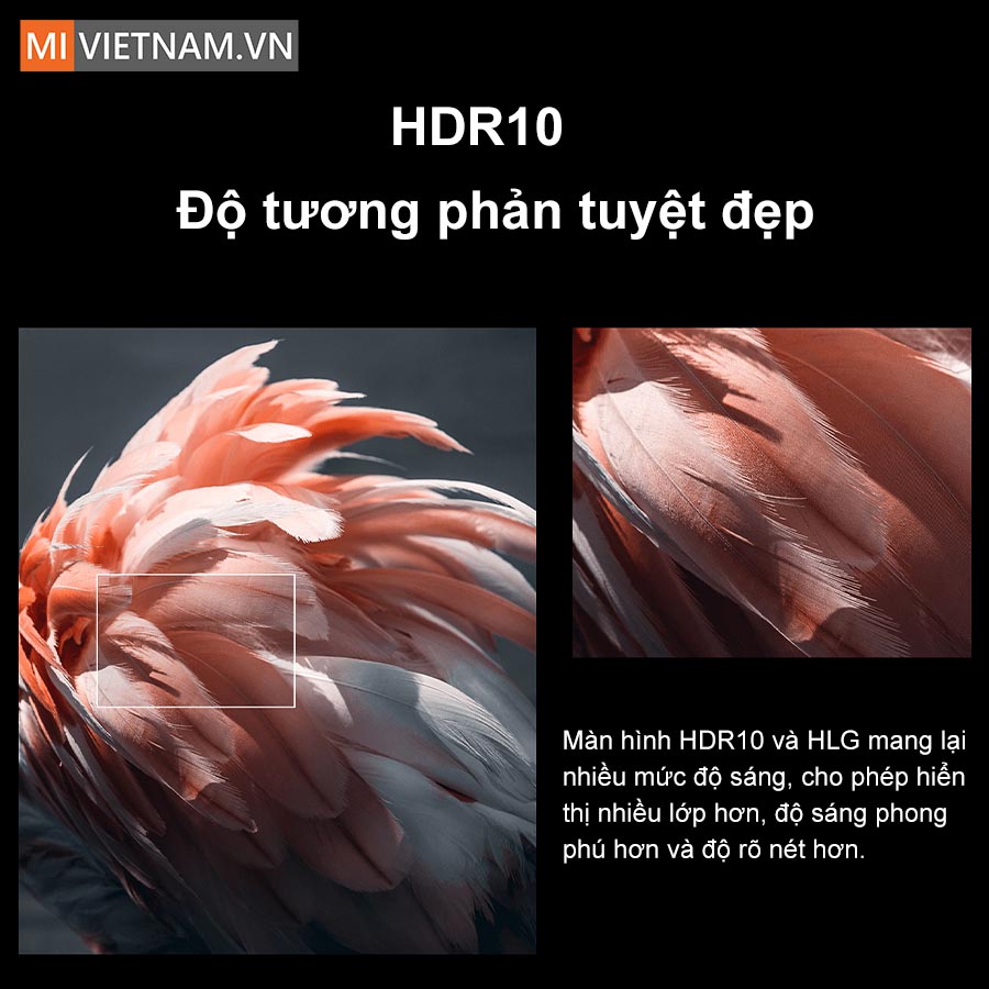 Chất lượng h&igrave;nh ảnh 4K si&ecirc;u sắc n&eacute;t
