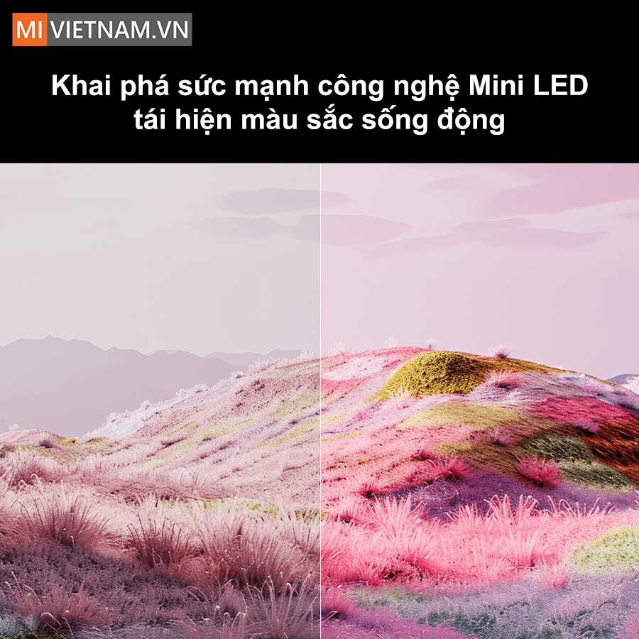 Khai ph&aacute; sức mạnh c&ocirc;ng nghệ Mini LED, t&aacute;i hiện m&agrave;u sắc sống động