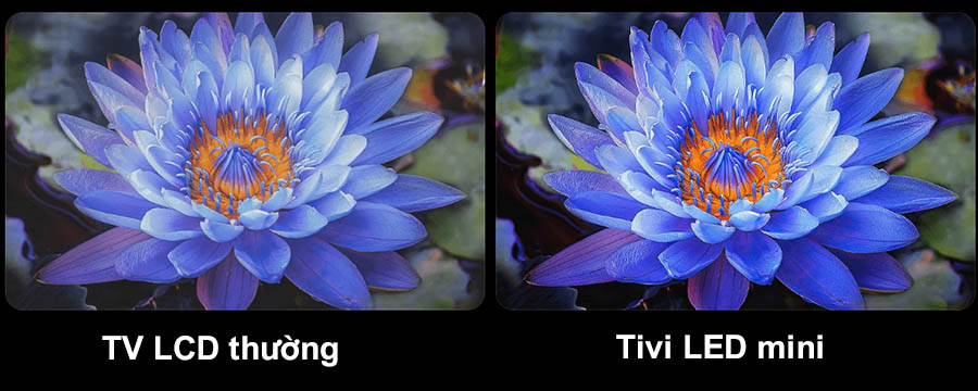 C&ocirc;ng nghệ Mini LED ti&ecirc;n tiến, kiểm so&aacute;t &aacute;nh s&aacute;ng ch&iacute;nh x&aacute;c